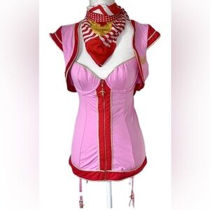 ISO (in search of) Victoria Secret Little Costume